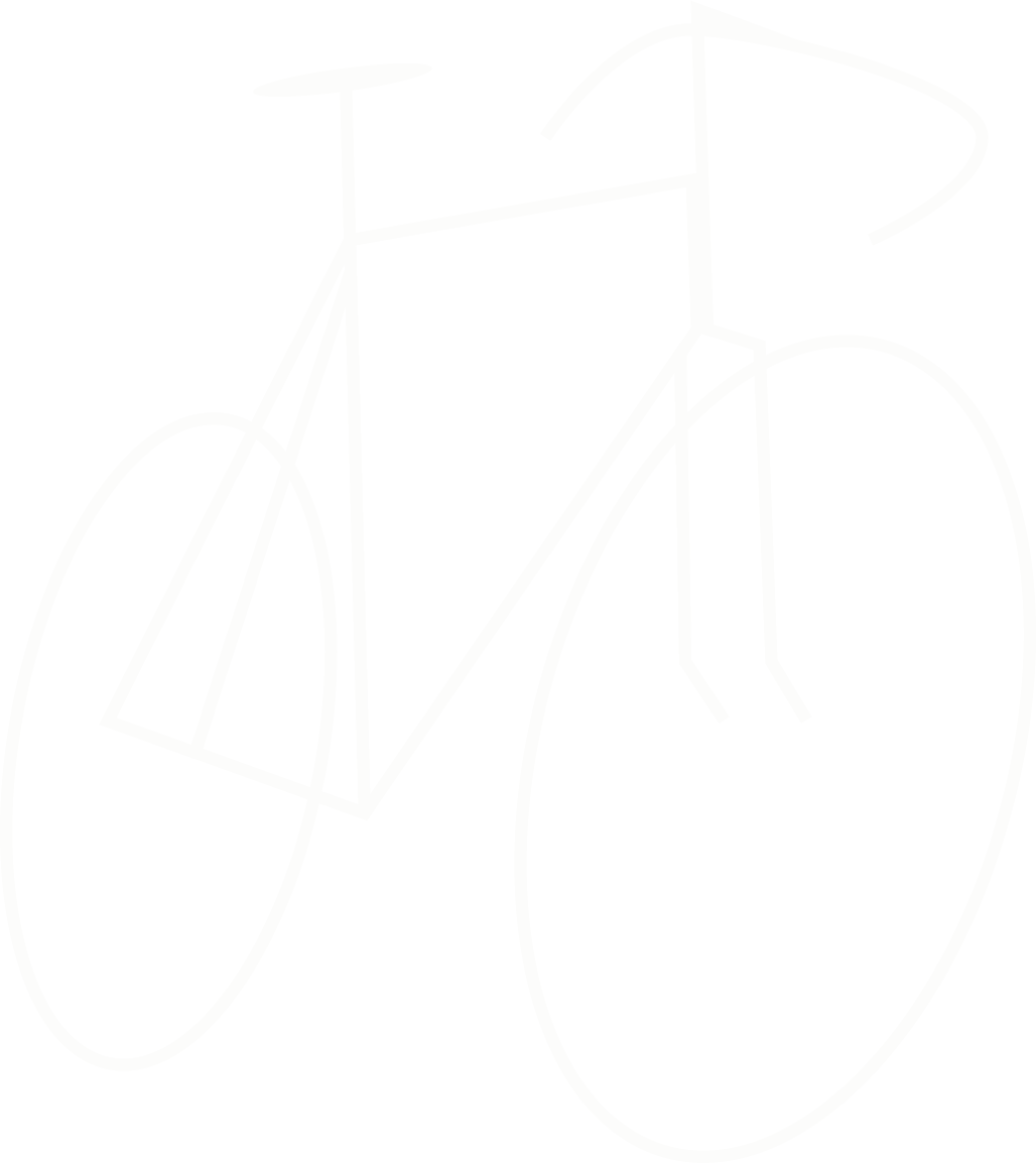 Cykelfiket