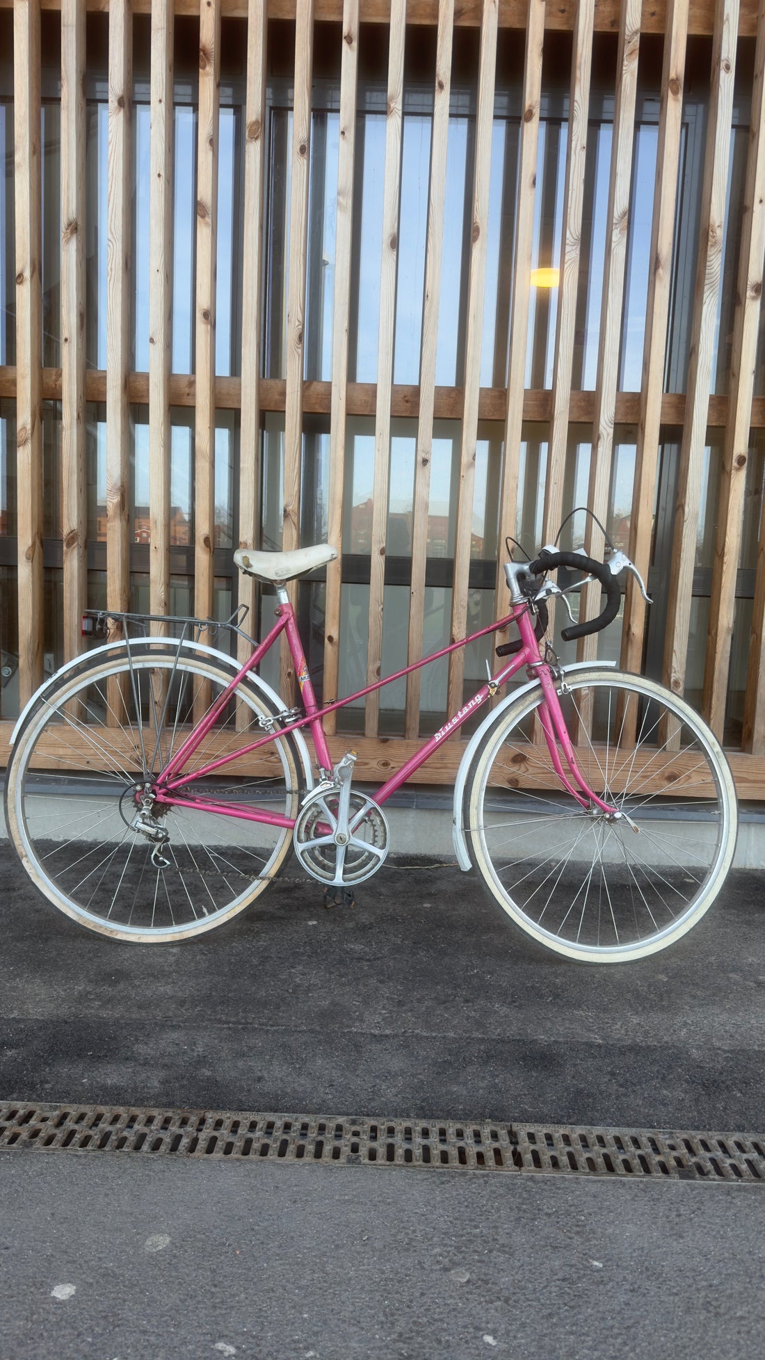 Mustang Women's Bike 28”